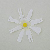 「シングル「恋だろ」」4枚目/5