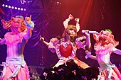 きゃりーぱみゅぱみゅ「きゃりーぱみゅぱみゅ、東京公演で【コーチェラ】エピソードを披露＆武道館ワンマンを発表」1枚目/8