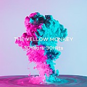 THE YELLOW MONKEY「THE YELLOW MONKEY、ベストAL『30Years 30Hits』全曲試聴ダイジェストムービー公開」1枚目/4