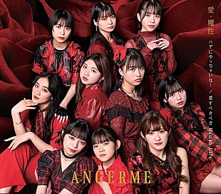 「【ビルボード】アンジュルム『愛・魔性／ハデにやっちゃいな！／愛すべきべき Human Life』8.4万枚でシングル・セールス首位 」