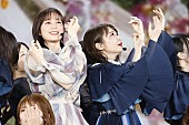 乃木坂46「」7枚目/20