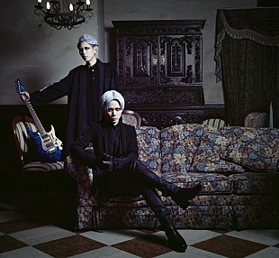 「fuzzy knot、ミニアルバム『BLACK SWAN』リリース＆全国ツアーの詳細発表」