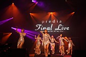 ｐｒｅｄｉａ「」14枚目/16