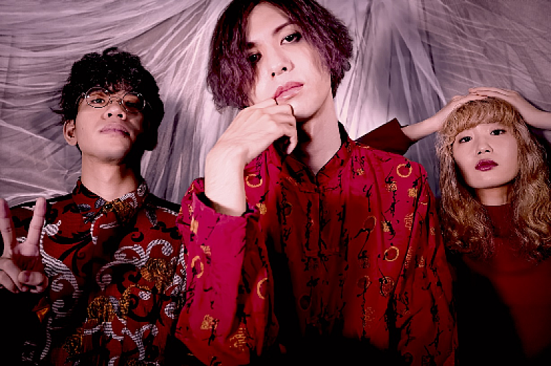 「ギリシャラブの新曲「聖者たち」配信リリース＆メンバーが自ら手掛けたMV公開」1枚目/2