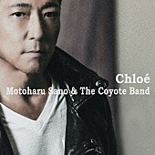 佐野元春＆ＴＨＥ　ＣＯＹＯＴＥ　ＢＡＮＤ「佐野元春 &amp;amp; ザ・コヨーテバンド、「クロエ」配信リリース＆MV公開」1枚目/1