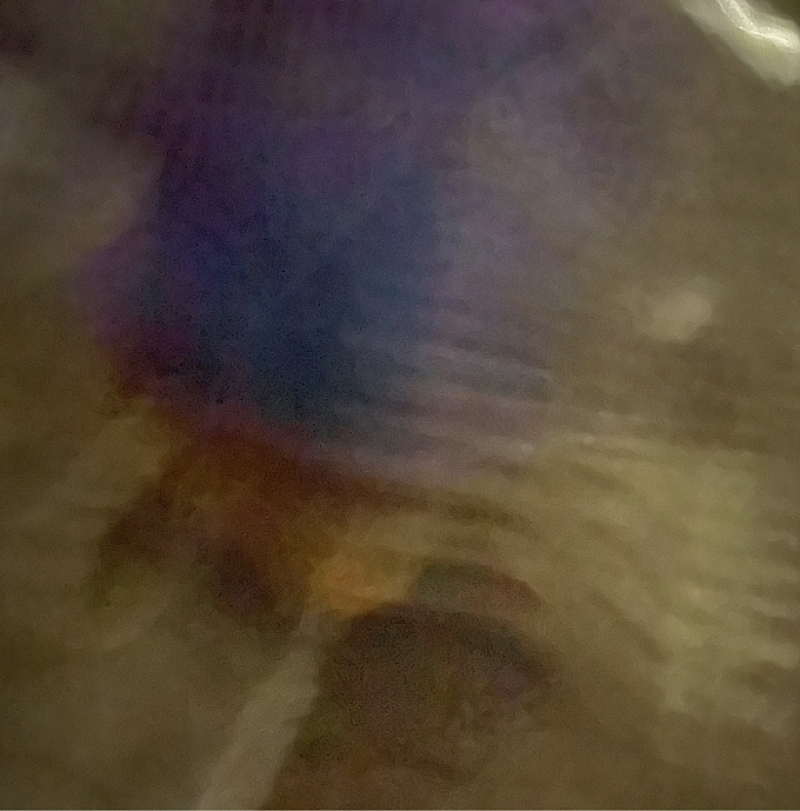 21歳のプロデューサー・Till Yawuh、スローファンクな新曲をリリース