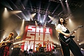 SHISHAMO「SHISHAMO、全国制覇となるワンマンツアーを10月からスタート」1枚目/1