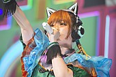 きゃりーぱみゅぱみゅ「きゃりーぱみゅぱみゅ全国ツアー本編完走、10月に日本武道館ライブ開催」1枚目/8