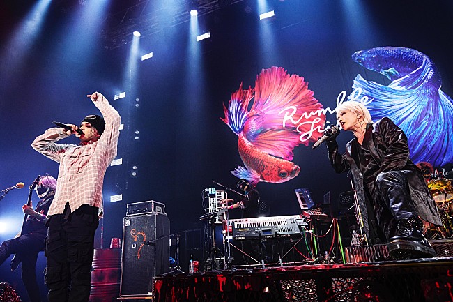 HYDE「＜ライヴレポート＞HYDE×CVLTE、絆を深めた対バンがZepp Sapporoで開催「残りの人生をかけ抜けたいと思います」」1枚目/7