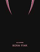 BLACKPINK「BLACKPINK アルバム『BORN PINK』＜BOX SET「PINK ver.」＞」2枚目/4