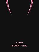 BLACKPINK「BLACKPINK アルバム『BORN PINK』BOX SET「PINK ver.」」3枚目/5