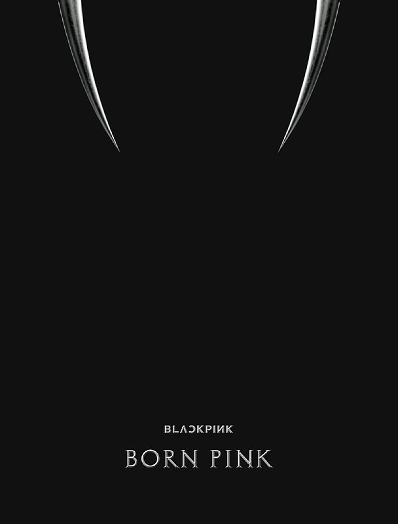 BLACKPINK「BLACKPINK アルバム『BORN PINK』BOX SET「BLACK ver.」」4枚目/5