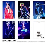 BUCK-TICK「BUCK-TICK LIVE Blu-ray＆DVD『魅世物小屋が暮れてから～SHOW AFTER DARK～ in 日本武道館』
特典 ポストカードA」10枚目/11