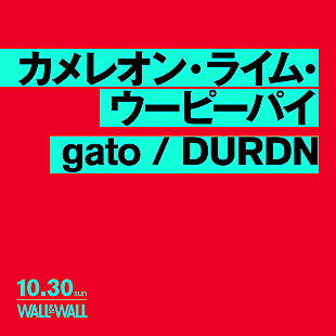 「カメレオン・ライム・ウーピーパイ×gato×DURDNの3マンライブ開催」