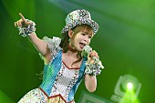 中川翔子「中川翔子、“全シングル披露3時間越えライブ”のレポート到着　20周年ベストALも発売決定」1枚目/7