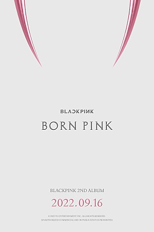 「【米ビルボード・アルバム・チャート】BLACKPINK『BORN PINK』が首位に初登場、バッド・バニー/NCT 127が続く」