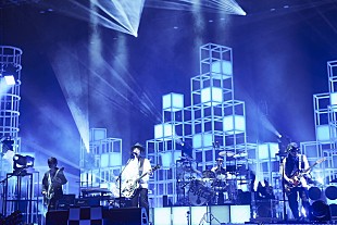 「スピッツ、一夜限りのコンサートより「正夢」ライブ映像を公開」