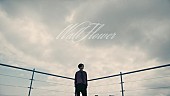 夜の本気ダンス「夜の本気ダンス、新ミニALリードトラック「Wall Flower」MV公開」1枚目/4