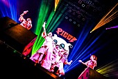 PIGGS「PIGGS、メジャー1stシングル「負けんなBABY」リリースを発表」1枚目/6