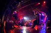 fuzzy knot「Photo by 江隈 麗志」2枚目/7