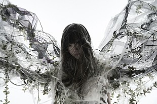 「Aimer、2023年春に全国アリーナツアー開催決定」