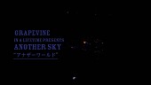 GRAPEVINE「GRAPEVINE「アナザーワールド」のライブ映像が配信スタート」1枚目/5