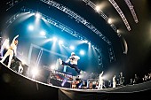 ビッケブランカ「Photo by 藤井拓」12枚目/13