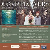 go!go!vanillas「go!go!vanillas、AL『FLOWERS』限定盤付属BD/DVDトレーラー映像公開」1枚目/4