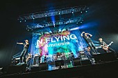 Ｎ．Ｆｌｙｉｎｇ「」10枚目/10