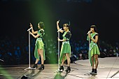 Perfume「」7枚目/9