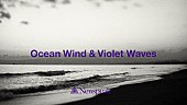 Newspeak「Newspeak、「Ocean Wind &amp;amp; Violet Waves」配信開始＆リリックビデオ公開決定」1枚目/4