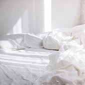 「神はサイコロを振らない × asmi、コラボ楽曲「朝靄に溶ける」配信リリース決定」1枚目/4