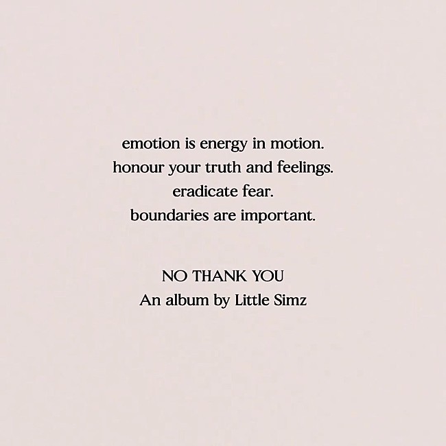「リトル・シムズ、ニューAL『NO THANK YOU』をリリースへ」1枚目/1