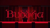 春野「春野、新曲「Buddha」配信リリース＆MV公開」1枚目/3