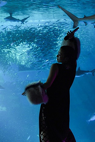 「宇多田ヒカル、Pitchfork年間10位「Somewhere Near Marseilles ―マルセイユ辺り―」パフォーマンスビデオ公開」