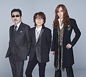 「THE ALFEE」6枚目/6