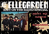 ELLEGARDEN「ELLEGARDENのラジオ番組『RIOT ON THE RADIO』メンバー勢揃いで一夜限りの復活決定」1枚目/1