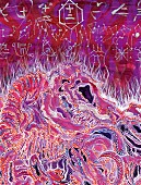 「	女王蜂 アルバム『十二次元』完全生産限定盤」3枚目/4