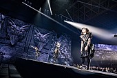 BABYMETAL「＜ライブレポート＞BABYMETALと“ライブ”が復活した一夜」1枚目/11