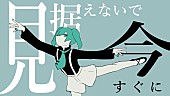 バルーン「【ビルボード】“ニコニコ VOCALOID SONGS TOP20”バルーン「花に風」が首位獲得、初登場にピノキオピー「匿名M」」1枚目/1