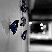 「Murakami Keisuke、創造の気まぐれを描いた新曲「Dawn」配信」1枚目/1