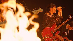 「go!go!vanillas、「HIGHER」ライブ映像公開」