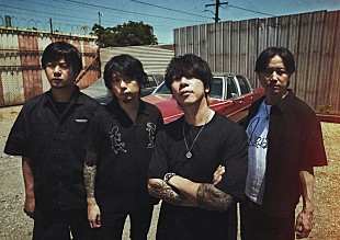 「ELLEGARDEN、アリーナ／野外／スタジアムライブで構成されたツアー開催」