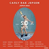 「カーリー・レイ・ジェプセン、全国6都市を巡るジャパン・ツアーが決定」1枚目/1