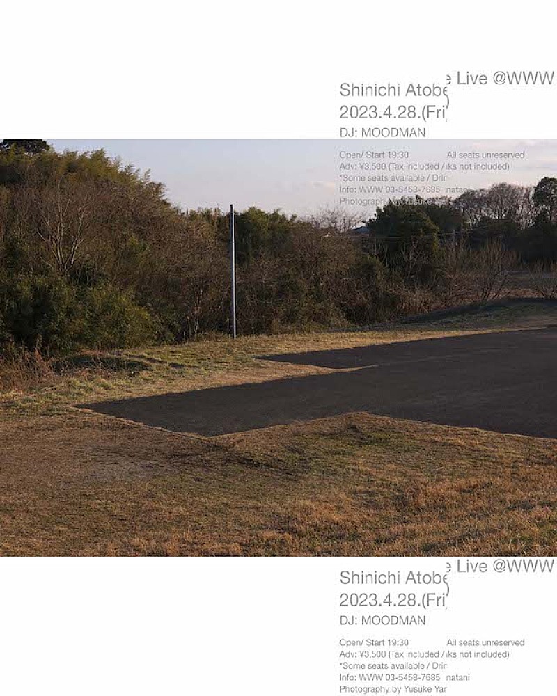 「Photography：Yusuke Yamatani / Design：Satoshi Suzuki」3枚目/3