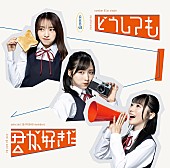 AKB48「	AKB48 シングル『どうしても君が好きだ』通常盤TYPE-A」4枚目/8