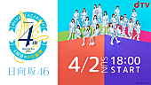 日向坂46「日向坂46、【4回目のひな誕祭】dTV生配信決定」1枚目/1