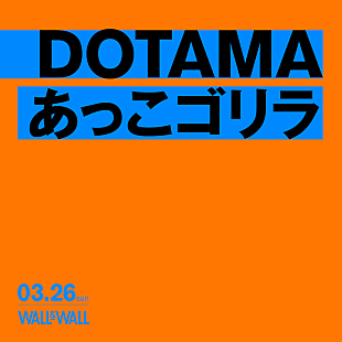 「DOTAMA×あっこゴリラのツーマンライブがWALL&amp;WALLにて開催」