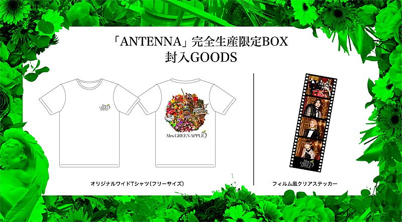 Mrs. GREEN APPLE「	Mrs. GREEN APPLE アルバム『ANTENNA』完全生産限定BOXグッズ」3枚目/3