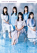 乃木坂46「乃木坂46公式書籍 10年の歩き方 / 通常版 表紙」3枚目/5